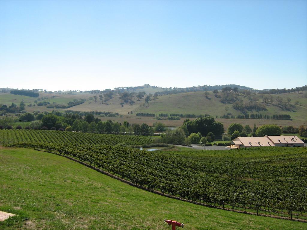Turners Vineyard Motel Orange Rum bild