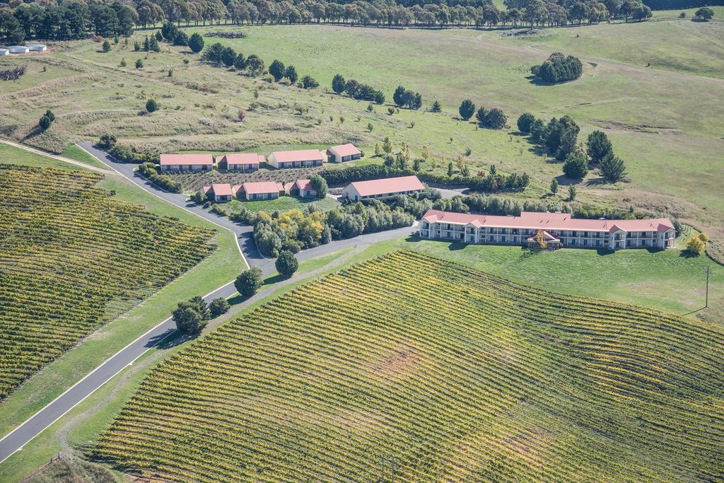 Turners Vineyard Motel Orange Exteriör bild