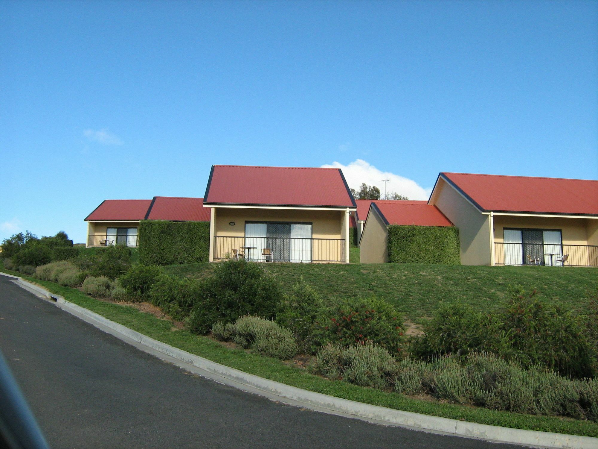 Turners Vineyard Motel Orange Exteriör bild