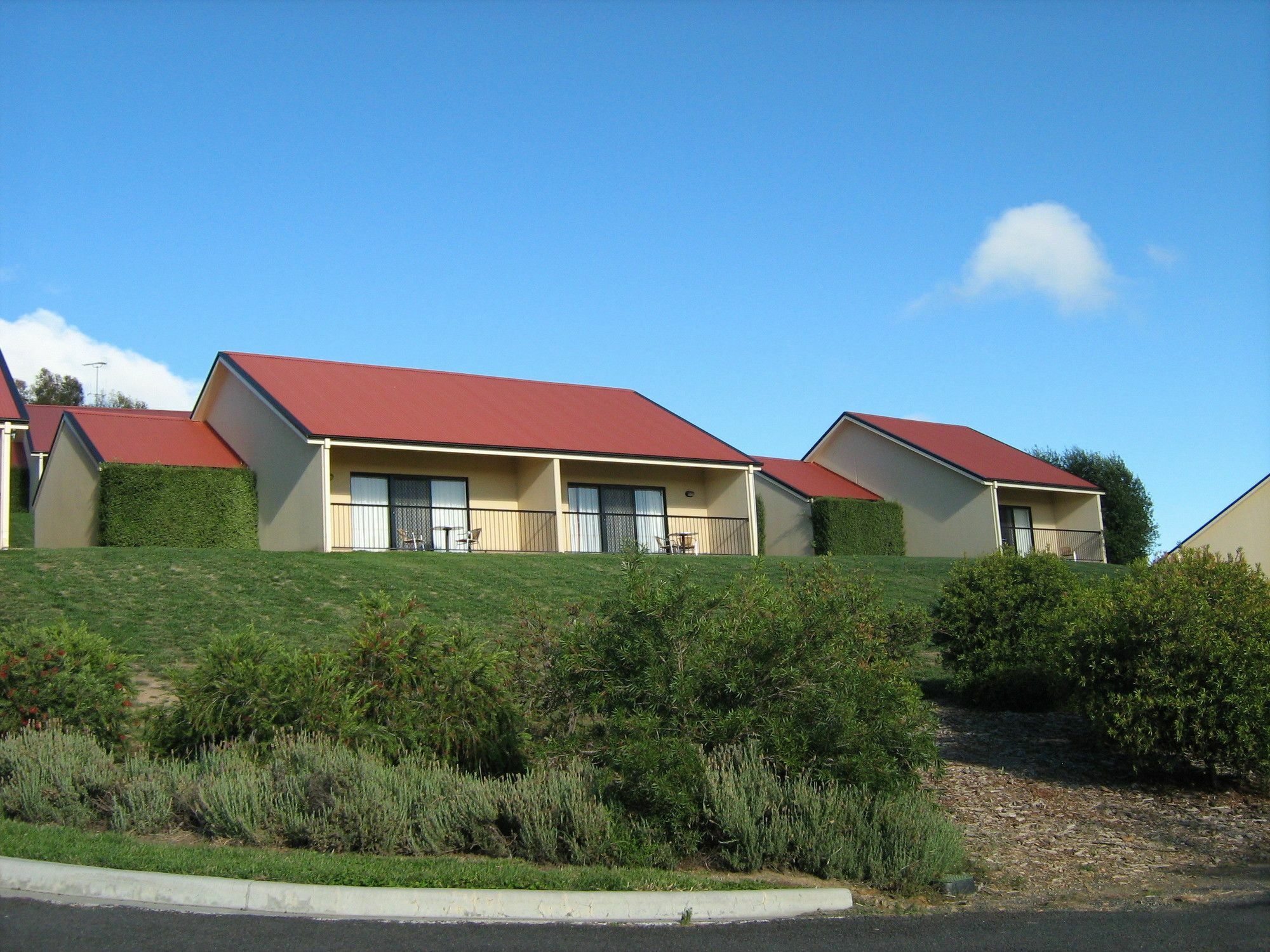 Turners Vineyard Motel Orange Exteriör bild