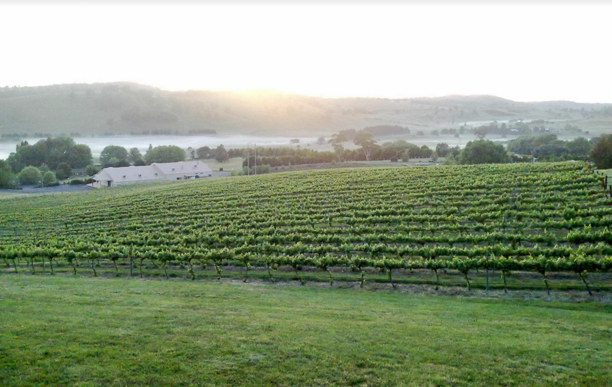 Turners Vineyard Motel Orange Exteriör bild