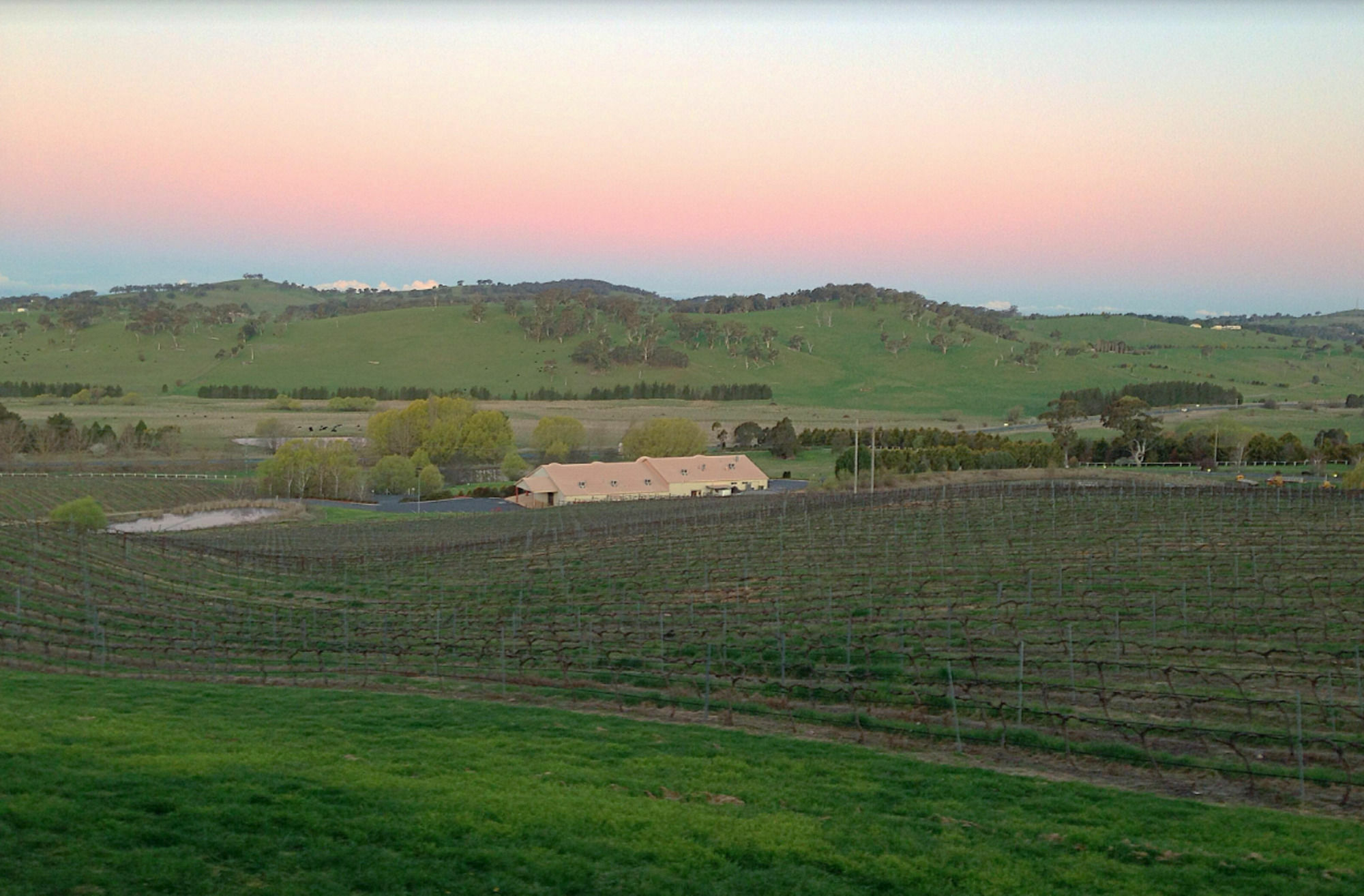 Turners Vineyard Motel Orange Exteriör bild